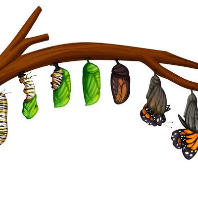 The Metamorphosis of the Master Student 🦋 by Dream Wise